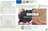 Il biochar prodotto da residui di potatura di olivo e ...