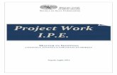 Project Work I.P.E. - IPE - Istituto