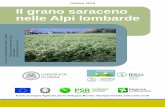 Ottobre 2019 Il grano saraceno nelle Alpi lombarde
