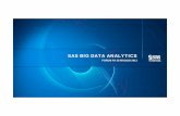 SAS BIG DATA ANALYTICS - FPA