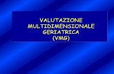 VALUTAZIONE MULTIDIMENSIONALE GERIATRICA (VMG)