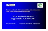 XVII° Congresso SIQuAS Reggio Emilia 7-10 NOV 2007