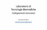 Laboratoriodi Tecnologie Biomediche