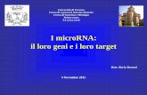 I microRNA: il loro geni e i loro target - Unife