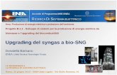 Upgrading del syngas a bio-SNG