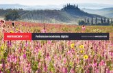 Performance ecosistema digitale - Visit Tuscany