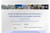 Analisi del Mercato italiano del fotovoltaico e delle ...