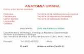 ANATOMIA UMANA - Unife