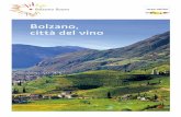 Bolzano, città del vino