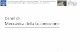 Cenni di Meccanica della Locomozione - unica.it - Homepage
