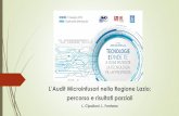 L’Audit Microinfusori nella Regione Lazio: percorso e ...