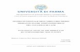 STUDIO FUNZIONALE DELL’ORECCHIO MEDIO MEDIANTE ESAME ...
