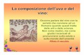 La composizione dell’uva e del vino - Ambiente Bio