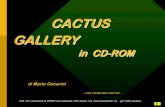 SUCCULENTE in CD-ROM - Cactus e Dintorni
