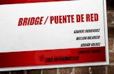 Bridge / Puente de red