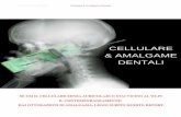 Cellulare & Amalgame Dentali