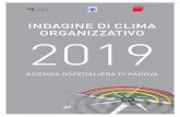 INDAGINE DI CLIMA ORGANIZZATIVO 2019 - aopd.veneto.it