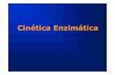 2013 Tema 5B Bqca 1 Cinetica Enzimatica