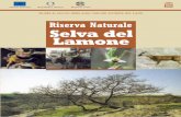 Riserva Naturale Selva del Lamone - Parchilazio