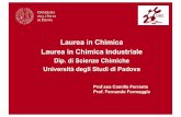 Dip. di Scienze Chimiche Università degli Studi di Padova