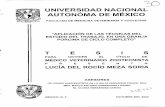 SRA AUTONOMA DE MEXICO - 132.248.9.195