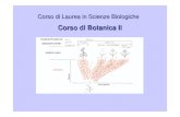 (eBook - ITA - BOTANICA) Lezioni Di Botanica 2 Parte Sistematica (PDF)