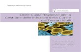 Linee Guida Regionali per la Gestione delle Infezioni ... Stefano Basso (AAS 5 â€œFriuli Occidentaleâ€‌)