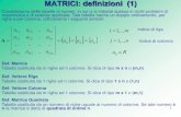 MATRICI: definizioni (1) - Dispense SBIO/2017-2018...  4 MATRICI: definizioni (4) Def. Matrice Emisimmetrica