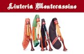 Liuteria Montecazino La produzione di strumenti musicali La Liuteria Montecassino utilizza le migliori