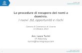 L. Turini - Le procedure di recupero dei nomi a dominio