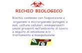 RICHIO BIOLOGICO - .rischio biologico â€¢Professioni sanitarie (medici, infermieri, ostetriche, tecnici,