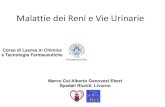 Malattie dei Reni e Vie Urinarie - omero.farm.unipi. Reni.pdf  RENE E REGOLAZIONE DELLA PRESSIONE