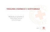 TRAUMA CRANICO E VERTEBRALE - Croce Rossa Parma - .trauma Cranico e vertebrale, alla fine di questa