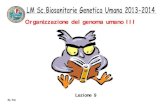 Organizzazione del genoma umano III - uniba.it .Taglio in Eliminato GU-----AG GU-----AG Eliminato