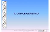 5. Il codice genetico - .IL CODICE GENETICO Dipartimento di Scienze Agronomiche e Genetica Vegetale