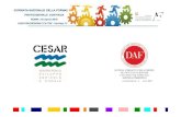 Presentazione Standard AGENZIE FORMATIVE .Il CESAR inoltre ospita lo sportello Europe Direct Umbria,