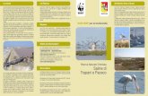 Saline di Trapani e Paceco - .OASI WWF per la biodiversit  Riserva Naturale Orientata Saline di