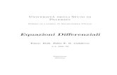 Equazioni Di erenziali - unipa. differenziali...  presenti derivate ordinarie (totali). alle derivate