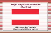 Stage linguistico a Vienna (Austria) - stage    Materiale didattico fornito dalla scuola