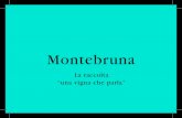 Montebruna - Braida Vini 2019-03-08¢  Umberto Bindi, Gino Paoli e Luigi Tenco uno dei fondatori di quella