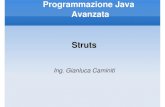 Programmazione Java Avanzata Struts - unirc.it 2011-08-03¢  Uso di Struts2 come MVC con Spring per usare