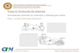 Tema 4: Protocolo de Internet 2008-11-11¢  Ejecuci£³n remota de procedimientos (aplicaciones distribuidas)