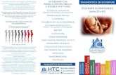 HTC Centro Medico Stradella (Pavia) in Oltrepأ² Pavese L'ecografia morfologica أ¨, insieme all'ecografia