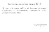 Forensics summer camp 2013