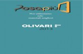 catalogo olivari 2013