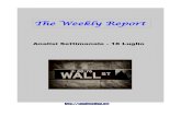 Weekly Report n° 7