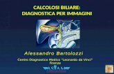 Alessandro Bartolozzi. Centro Diagnostico Medico Leonardo da Vinci - Firenze 1986 2014
