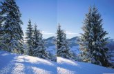 Paesaggi e animali_nel_gelido_inverno