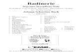 Badinerie -    Soprano Saxophone Solo ... Solo Soprano Saxophone ... Keyboard / Guitar / Bass Guitar (optional) Glockenspiel Drum Set