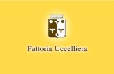 Brochure 2014 - Fattoria Uccelliera